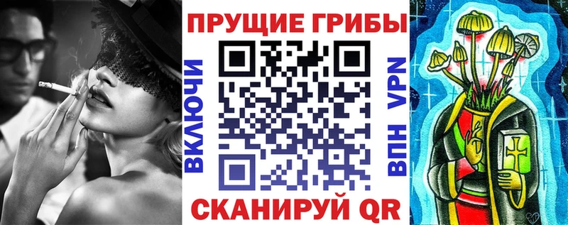 Купить  Троицк  Галлюциногенные грибы MAGIC MUSHROOMS 